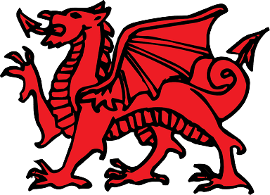 Laundry Pickup & Delivery Service in Wales, WI